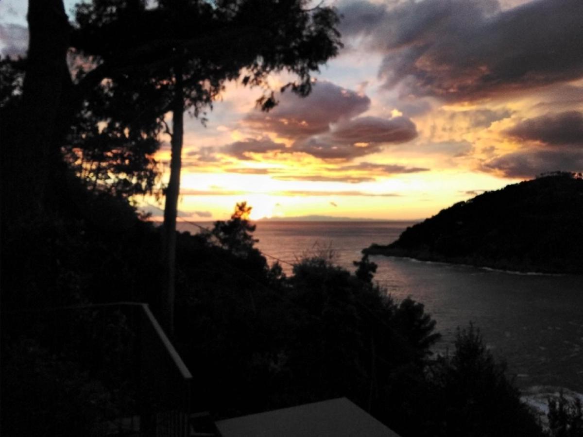 Villa Mimosa Splendida Vista Mare Bonassola Luaran gambar