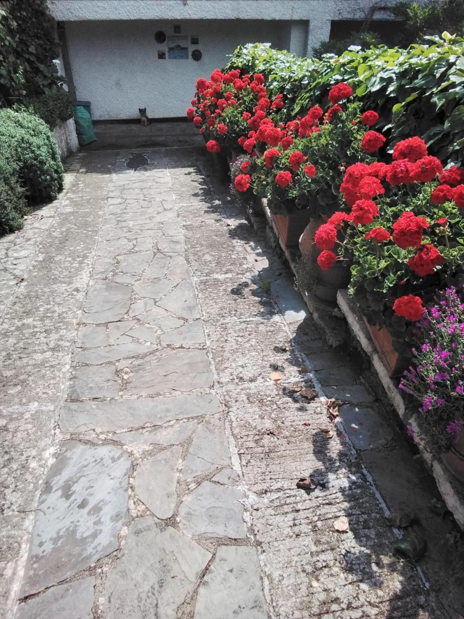 Villa Mimosa Splendida Vista Mare Bonassola Luaran gambar